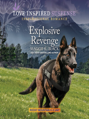 cover image of Explosive Revenge